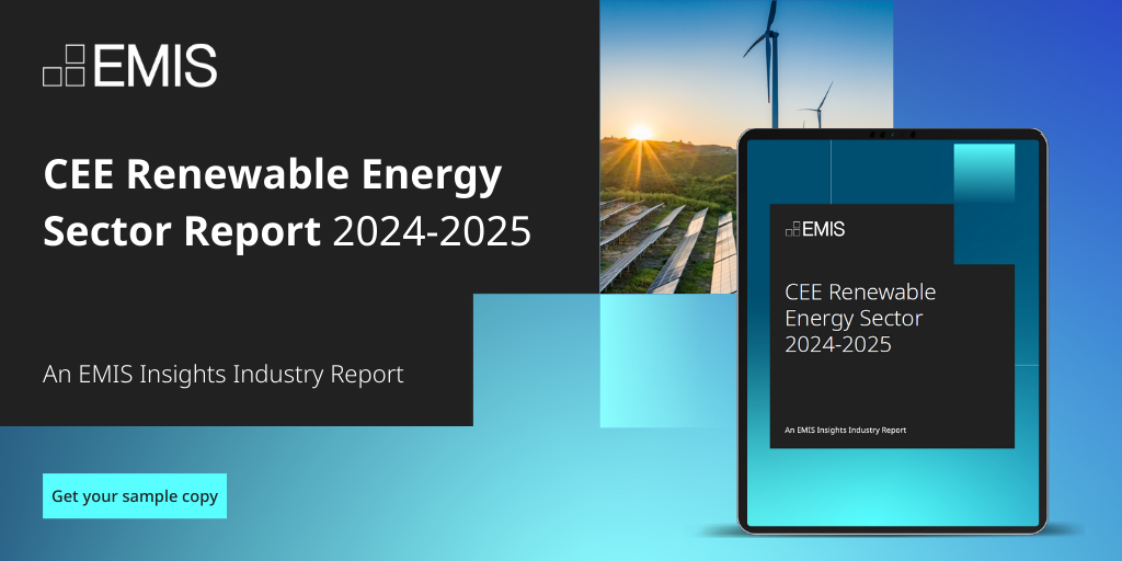 CEE Renewable Sector Report 2024-2025